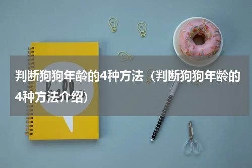 判断狗狗年龄的4种方法（判断狗狗年龄的4种方法介绍）