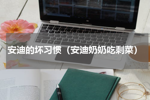 安迪的坏习惯（安迪奶奶吃剩菜）