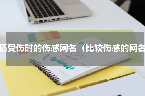 感情受伤时的伤感网名（比较伤感的网名）